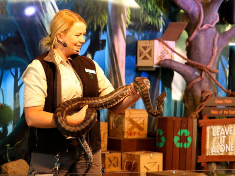 Currumbin Wildlife Sanctuary - New South Wales Tourism  2