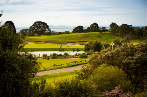 Curlewis Golf Club & The Range At Curlewis The Bellarine - New South Wales Tourism  0