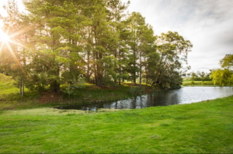 Curlewis Golf Club & The Range At Curlewis The Bellarine - New South Wales Tourism  1
