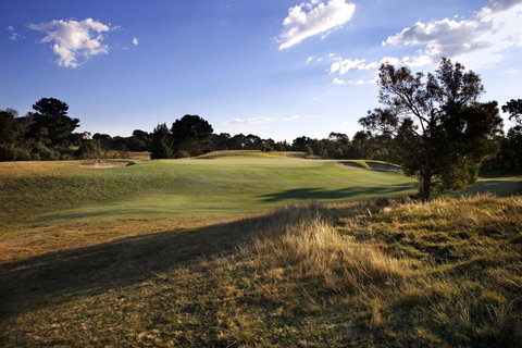 Curlewis Golf Club & The Range At Curlewis The Bellarine - New South Wales Tourism  2