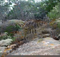 Dergholm State Park - New South Wales Tourism 