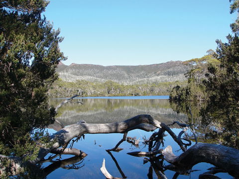 Derwent Bridge - New South Wales Tourism  0