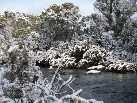 Derwent Bridge - New South Wales Tourism  2