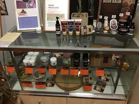 Dingo Dreaming - New South Wales Tourism  2