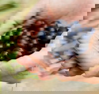 Eat Pick Grow Trail - Wanneroo and Chittering - New South Wales Tourism 