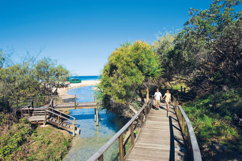 Eli Creek - New South Wales Tourism  0