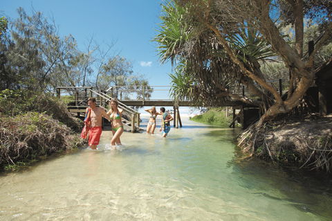 Eli Creek - New South Wales Tourism  1