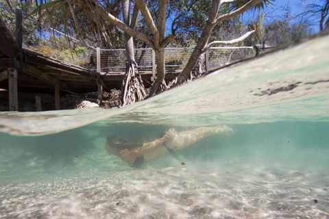 Eli Creek - New South Wales Tourism  2