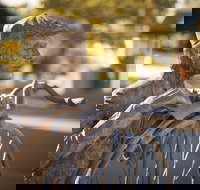 Evandale - New South Wales Tourism 