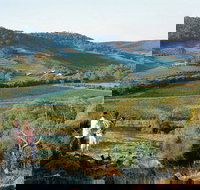 Farm Flavour Trail Chittering Valley - New South Wales Tourism 