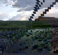 Fogg Dam Conservation Reserve - New South Wales Tourism 