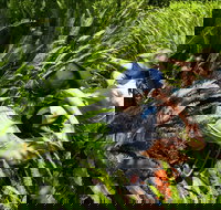 Georges Head - New South Wales Tourism 