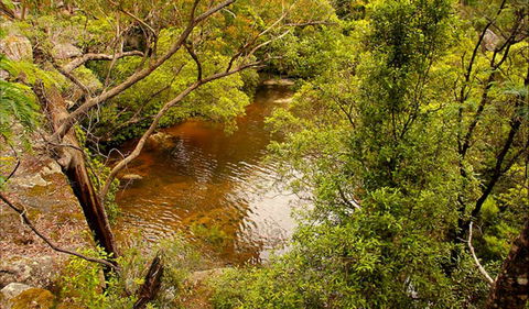 Girrakool Loop Track - New South Wales Tourism  0