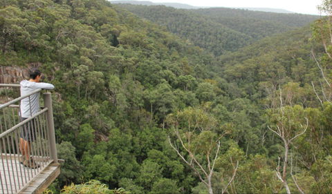 Granite Falls Walking Track - New South Wales Tourism  0