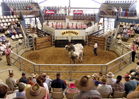 Gracemere Exhibition Complex - New South Wales Tourism  1