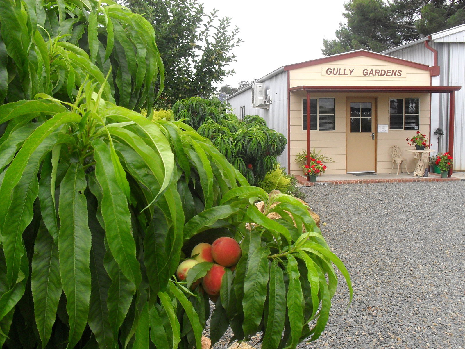 Angaston SA New South Wales Tourism 