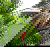 Gully Gardens - New South Wales Tourism 