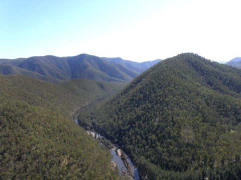 Guy Fawkes River National Park - New South Wales Tourism  0