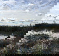 Gwydir Wetlands Moree - New South Wales Tourism 