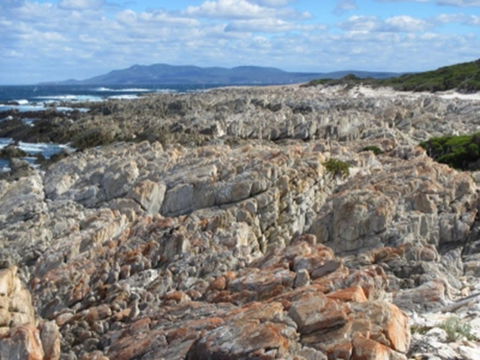 Hakea Walk Trail, East Fitzgerald National Park - New South Wales Tourism  1