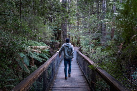 Hastings Caves And Thermal Springs - New South Wales Tourism  1