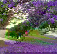 Howe Park - New South Wales Tourism 