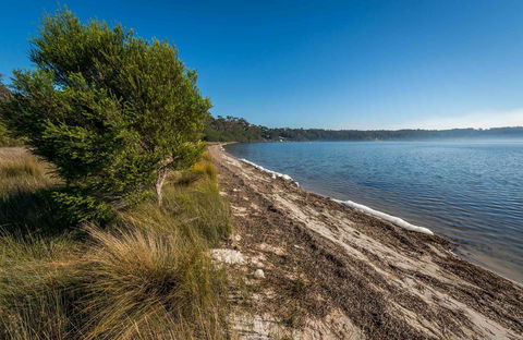Jewfish Walk - New South Wales Tourism  0