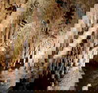 Jillabenan Cave - New South Wales Tourism 