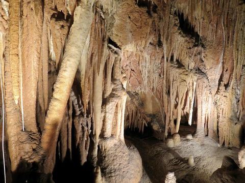 Jillabenan Cave - New South Wales Tourism  0