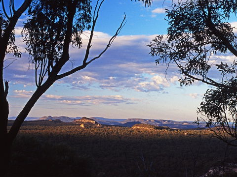 Ka Ka Mundi, Carnarvon National Park - New South Wales Tourism  0