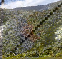 Kearneys Falls - New South Wales Tourism 