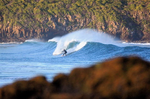 Killalea Reserve - New South Wales Tourism  1