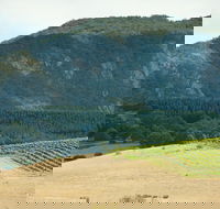 Langi Ghiran State Park - New South Wales Tourism 