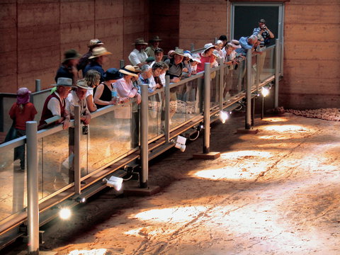 Lark Quarry Conservation Park - New South Wales Tourism  0