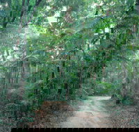 Lawn Hill - New South Wales Tourism 