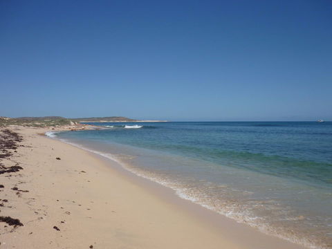 Lighthouse Bay - New South Wales Tourism  0