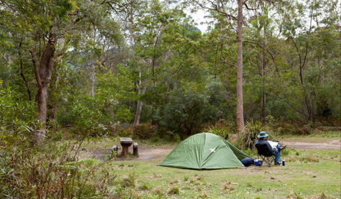 Long Gully Picnic Area - New South Wales Tourism  0