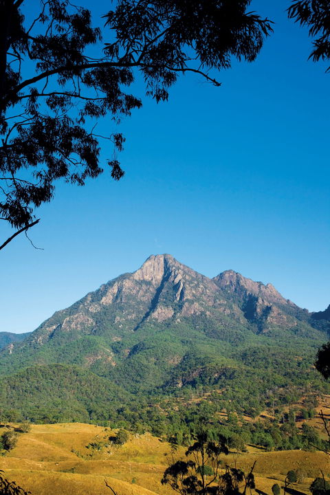 Lower Portals Track, Mount Barney National Park - New South Wales Tourism  0