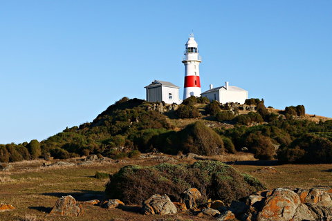 Low Head Foghorn - New South Wales Tourism  1