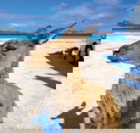 Lucky Bay - New South Wales Tourism 
