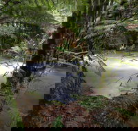 Marriotts Falls and Junee Caves - New South Wales Tourism 