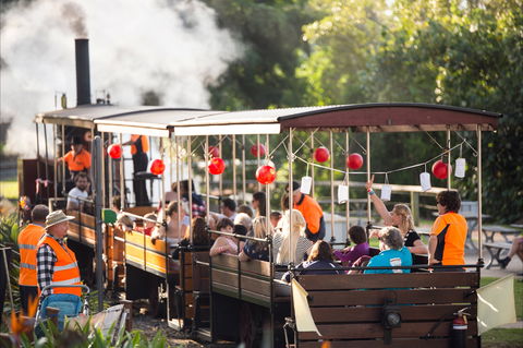 Mary Ann Steam Engine - New South Wales Tourism  1