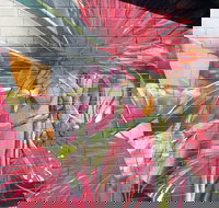 Mokoan Rest Stop Northbound - New South Wales Tourism 