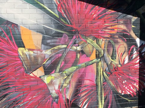 Mokoan Rest Stop Northbound - New South Wales Tourism  0