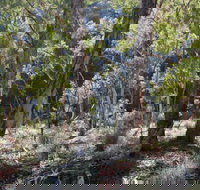 Mount Gray walking track - New South Wales Tourism 