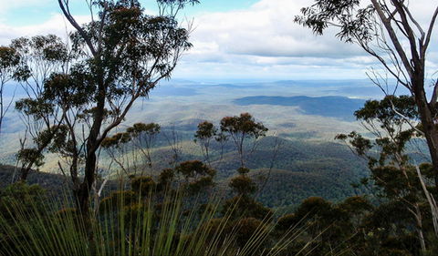 Mount Imlay National Park - New South Wales Tourism  0
