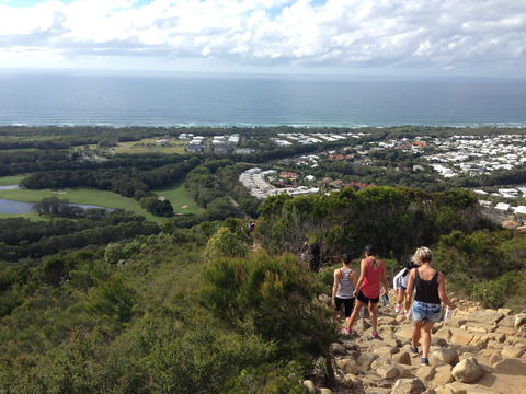 Mount Coolum National Park - New South Wales Tourism  1