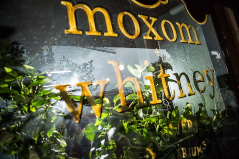 Moxom And Whitney - New South Wales Tourism  2