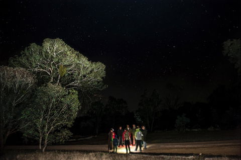 Mulligans Flat Woodland Sanctuary - New South Wales Tourism  1