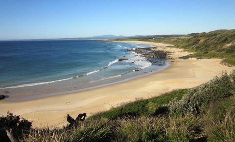 Mystery Bay To 1080 Beach Walk - New South Wales Tourism  0